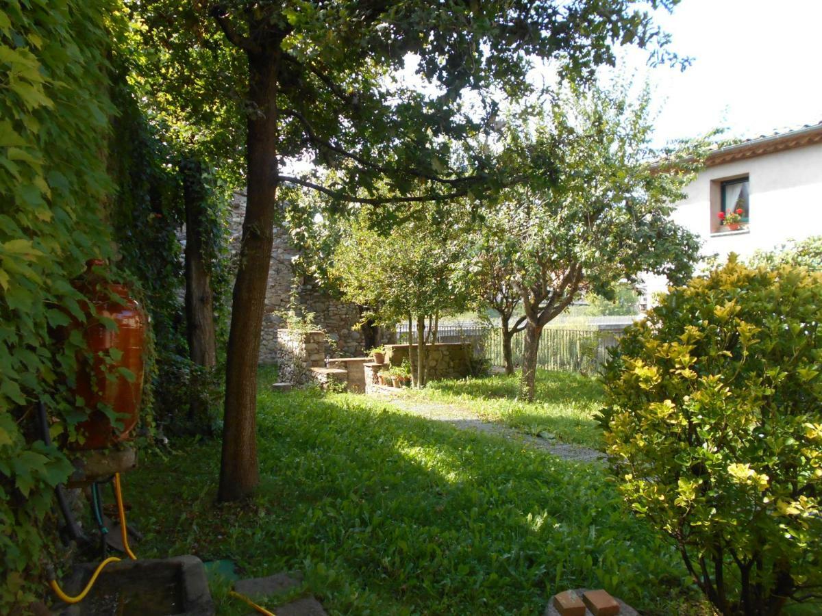Ca'L Mossen Villa Sant Joan de les Abadesses Exteriör bild